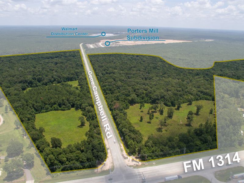 242 Ac Development Property : New Caney : Montgomery County : Texas