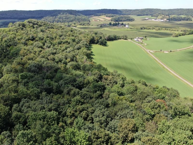 Multi Property Online Only Auction : Buena Vista : Richland County : Wisconsin