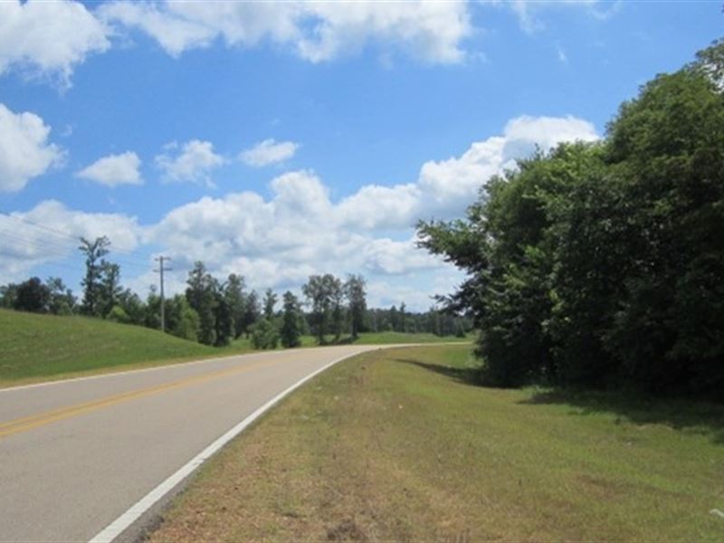 27.83 Acres in Union County in Blue : Blue Springs : Union County : Mississippi