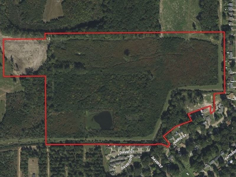 Commercial & Industrial Land : Pearl : Rankin County : Mississippi