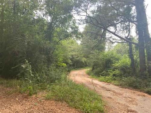 Ms, Attala 80 Ac : Kosciusko : Attala County : Mississippi