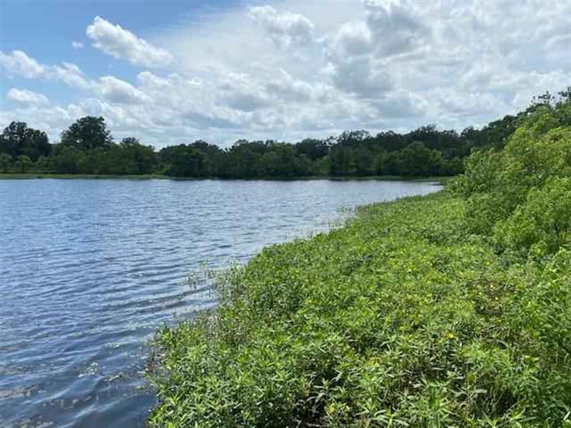 La, Richland 85 ac : Rayville : Richland Parish : Louisiana