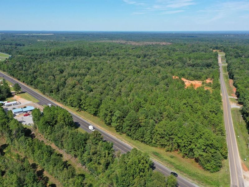 22 Acres Prime Commercial Property : Deatsville : Autauga County : Alabama