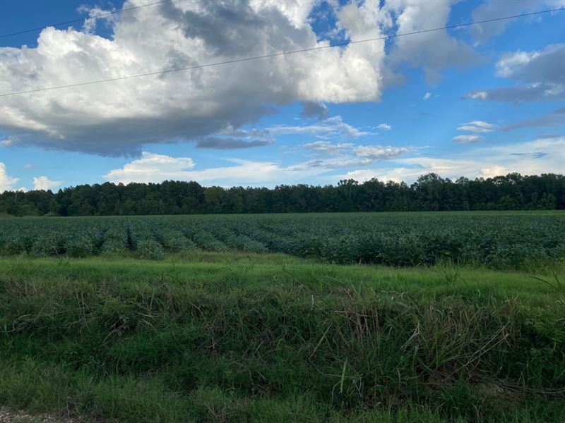 La, Franklin 175 Acres : Winnsboro : Franklin Parish : Louisiana