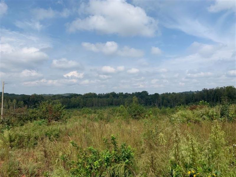 Hall County Development, Investment : Gillsville : Hall County : Georgia