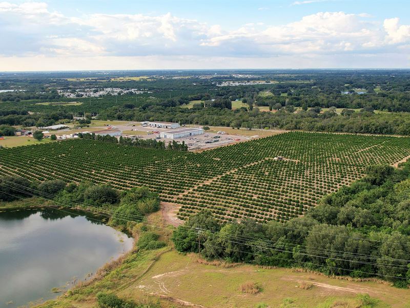 Old Scenic Highway Acreage : Lake Wales : Polk County : Florida