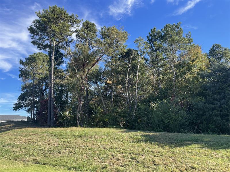Commercial Land At I-75 & Exit 296 : Cartersville : Bartow County : Georgia