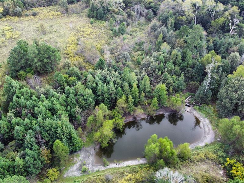 Rare East TX Tract in Smith County : Tyler : Smith County : Texas