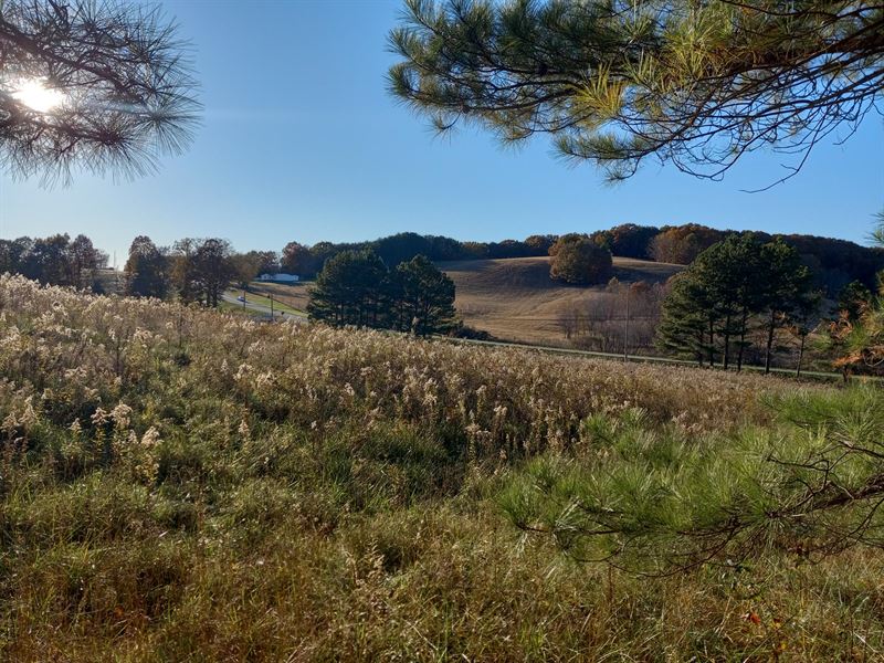 Great Business Area : Pikeville : Bledsoe County : Tennessee