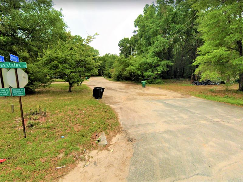 Huge Acreage Perfect for Developers : Tallahassee : Leon County : Florida