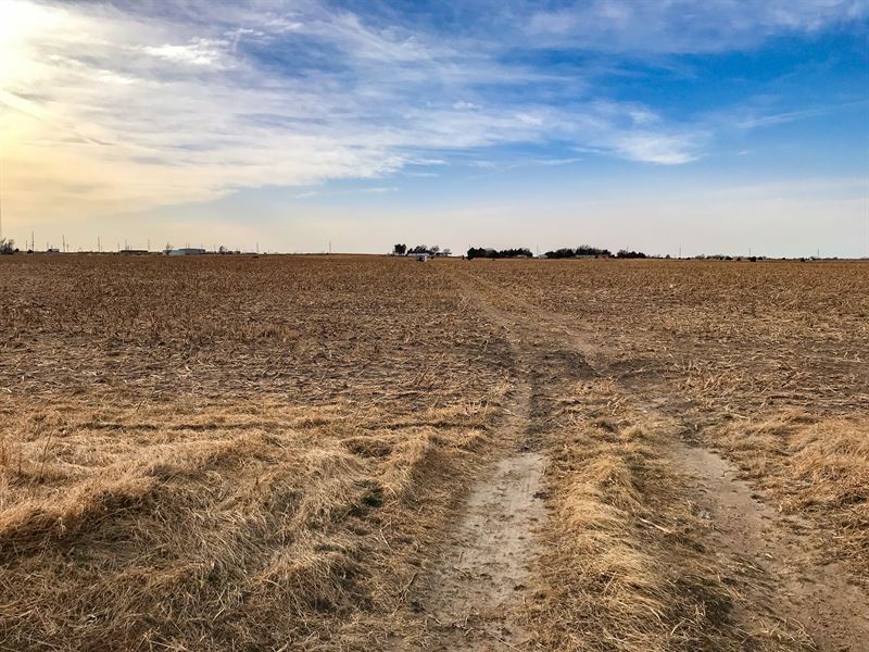 Dodge City, KS Crop Farm : Dodge City : Ford County : Kansas