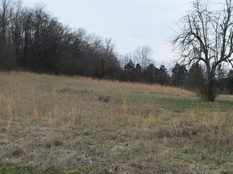 Corner Lot with 4.8+/- Acres : Hillsboro : Coffee County : Tennessee