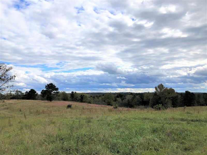 Unique Land Investment : Milledgeville : Baldwin County : Georgia