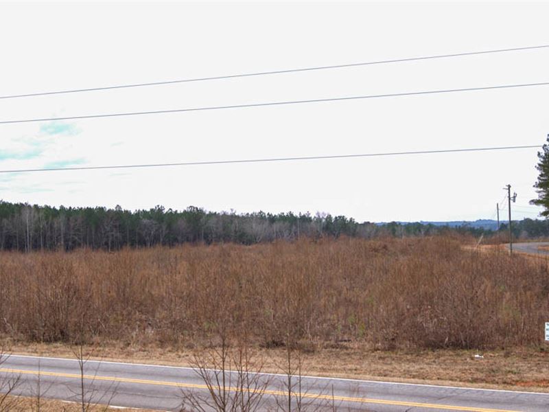 22 Acre Lot at Lake Greenwood : Cross Hill : Laurens County : South Carolina