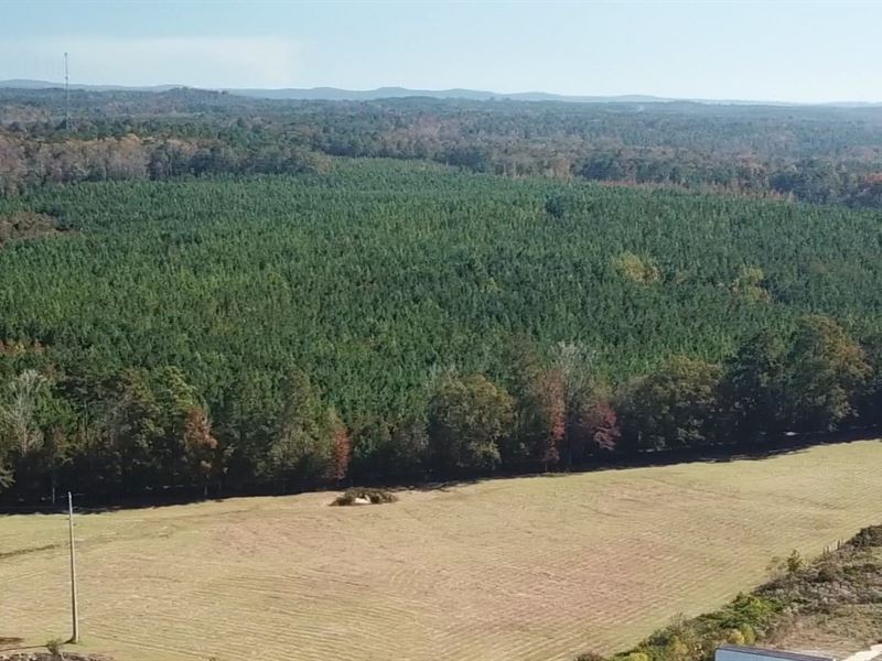 Highway 170 Plantation : Wetumpka : Elmore County : Alabama