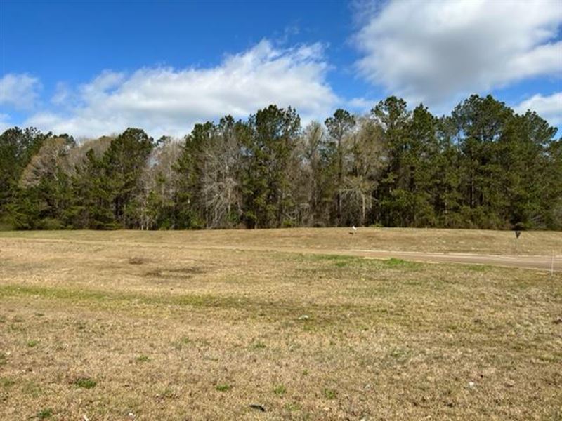 81.60 Ac, Hwy 84 & Fern Ln : Brookhaven : Lincoln County : Mississippi