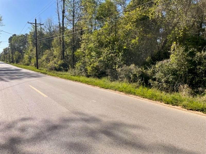 10 Acres, Sleepy Hollow Road : Conroe : Montgomery County : Texas