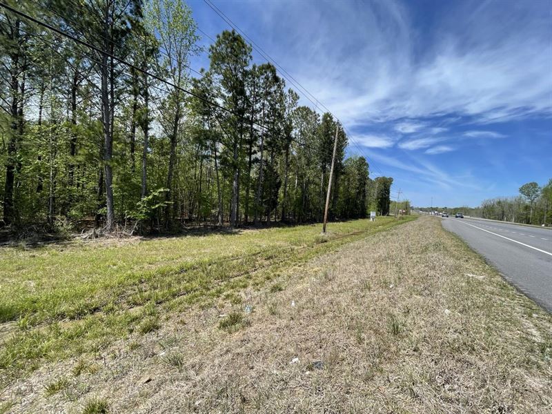 Comercial Lot on Highway 231 : Montgomery : Montgomery County : Alabama