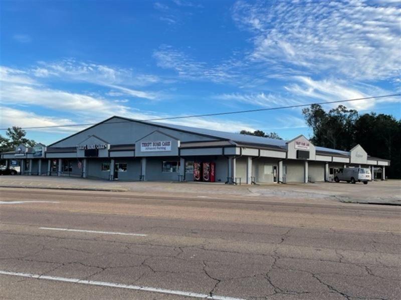 Commercial Income Property for Sale : McComb : Pike County : Mississippi