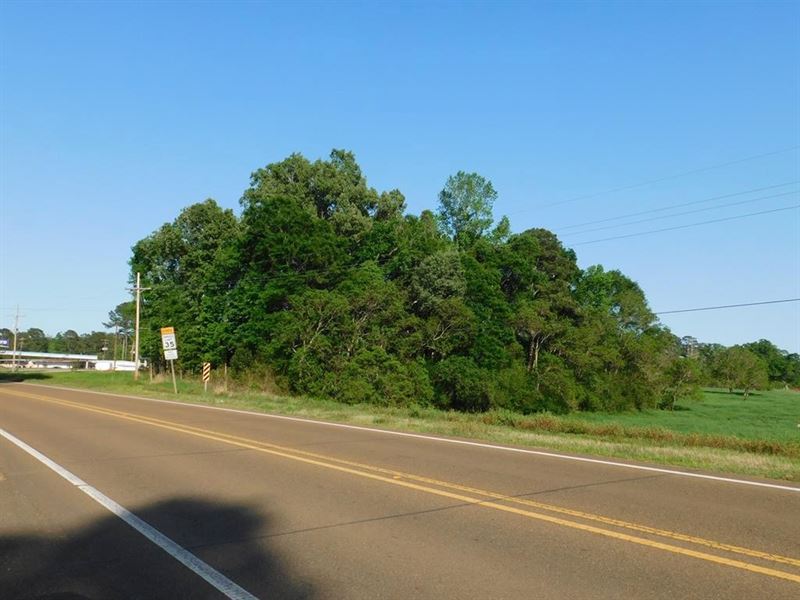 .77 Acre Vacant Lot For Sale, Cent : Centreville : Wilkinson County : Mississippi