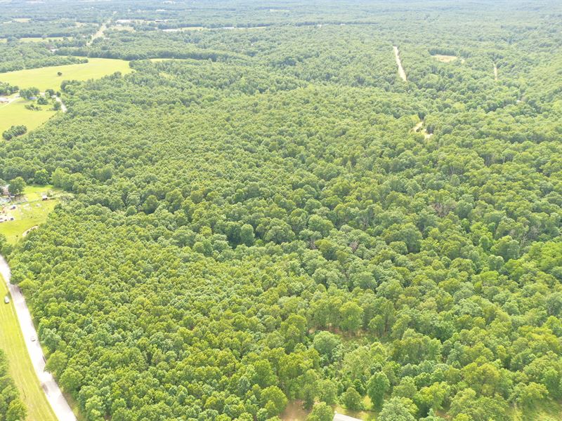 55 Acres Close to Nianqua River : Lebanon : Dallas County : Missouri