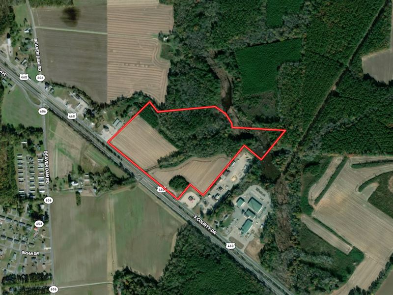 41 Acres Zoned Co : Waverly : Sussex County : Virginia