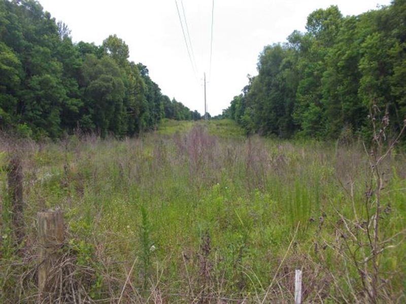 Millbrook 40 : Millbrook : Elmore County : Alabama