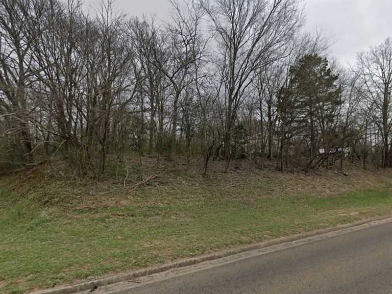 Commercial Lot for Sale in Texas : Palestine : Anderson County : Texas