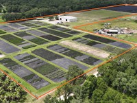 Volusia County Landscape Nursery : Deland : Volusia County : Florida