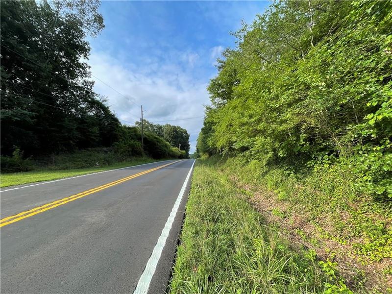 Land with Endless Opportunity : Ellijay : Gilmer County : Georgia