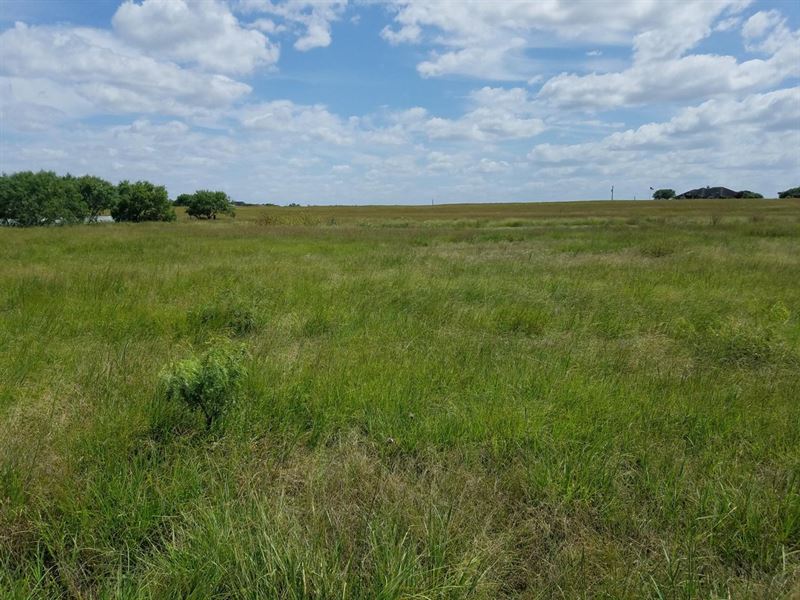 Shaw Acres : Falls City : Karnes County : Texas