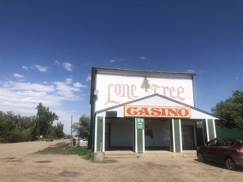 Lone Tree Bar & Casino : Box Elder : Hill County : Montana
