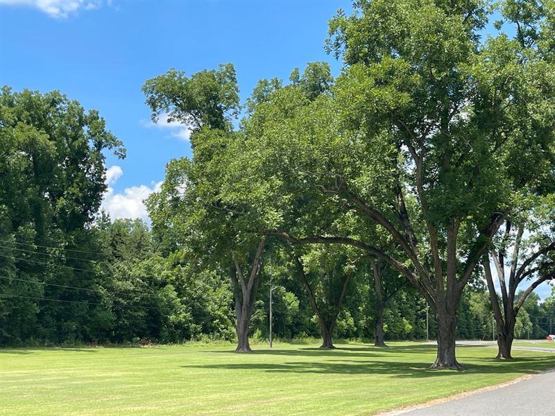 La, Ouachita 197 Acres : Monroe : Ouachita Parish : Louisiana