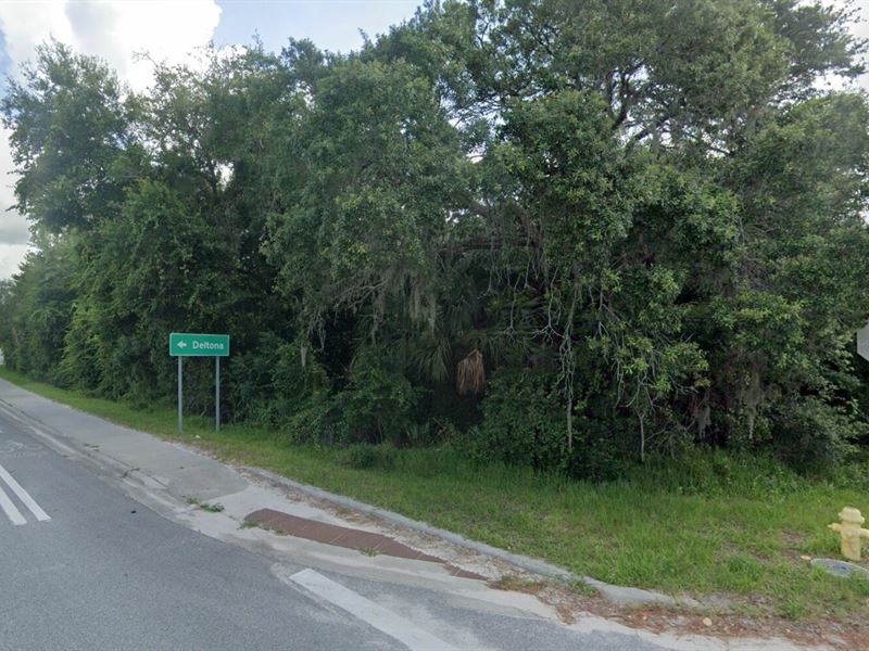 .11 Acre for Sale in Osteen, FL : Osteen : Volusia County : Florida