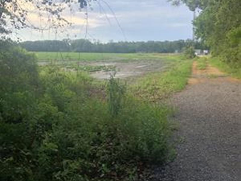 Location, Location : Summerdale : Baldwin County : Alabama