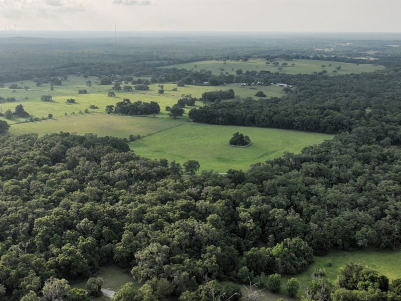 Lecanto 166 Residential Development : Lecanto : Citrus County : Florida