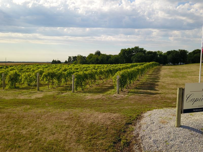 Capitol View Winery & Vineyard : Roca : Lancaster County : Nebraska