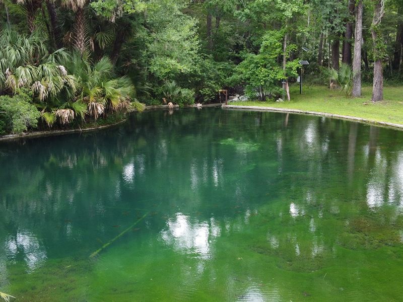 Historic Orange Spring & Commercial : Orange Springs : Marion County : Florida