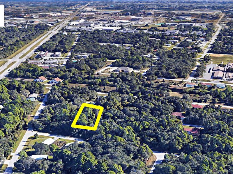 .23 Acre Omi Zoning Lot : Port Charlotte : Charlotte County : Florida