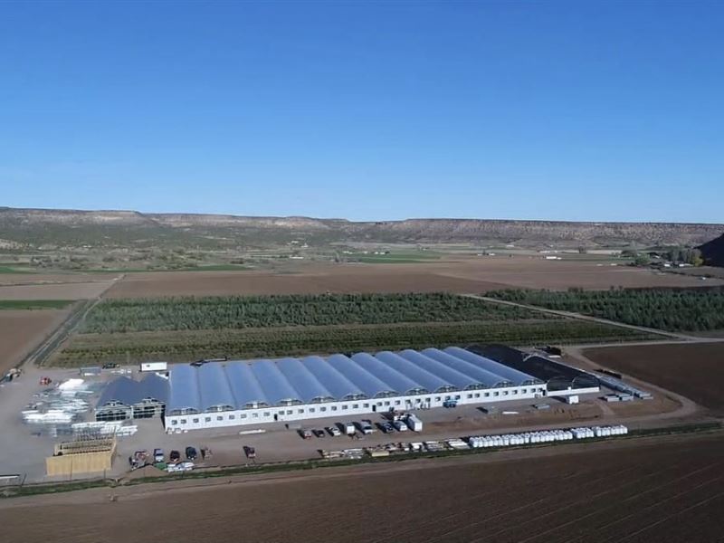 Colorado Farm Land and Greenhouses : Montrose : Montrose County : Colorado