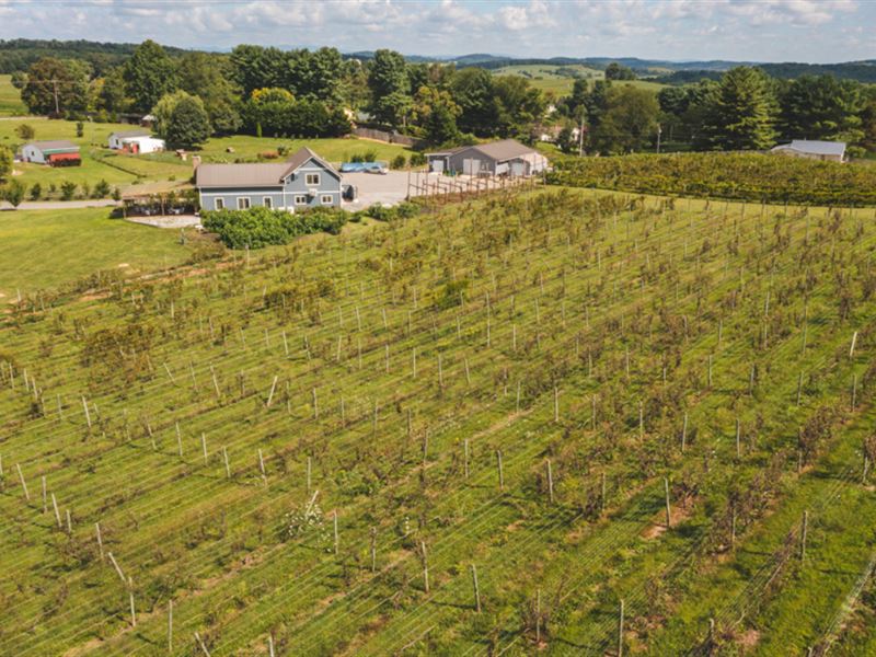 Winery for Sale Near Christiansburg : Christiansburg : Montgomery County : Virginia