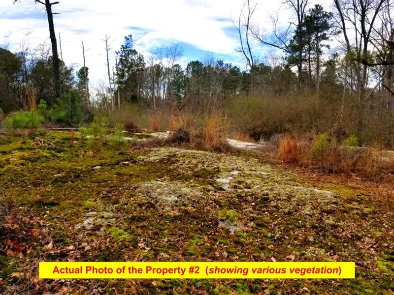 Great Lot in Austell, GA : Austell : Cobb County : Georgia
