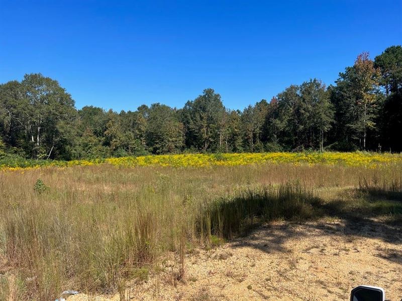 7.62 Acres Land for Sale 2 Miles We : Summit : Pike County : Mississippi