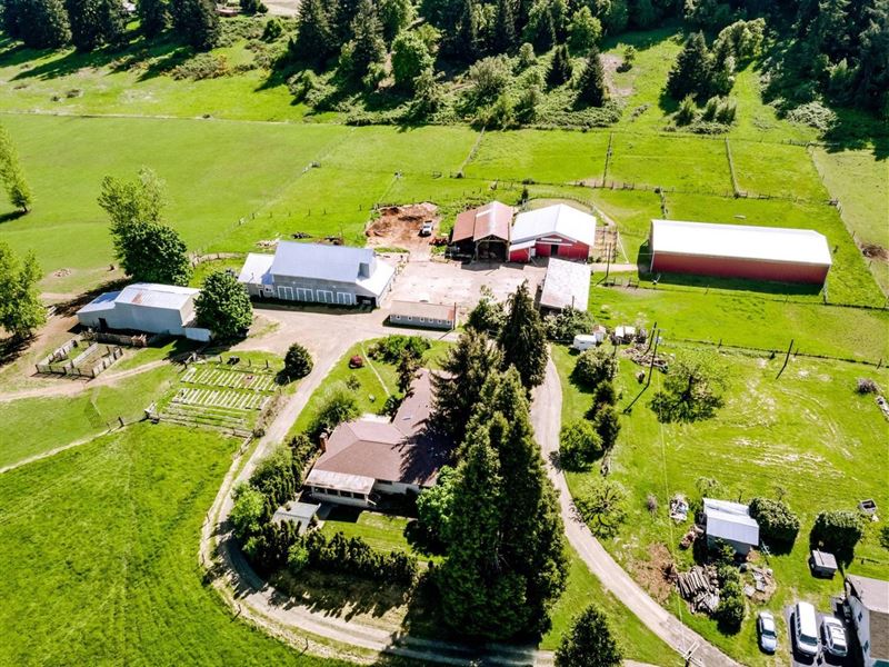 79385 Sears Road, Cottage Grove : Cottage Grove : Lane County : Oregon