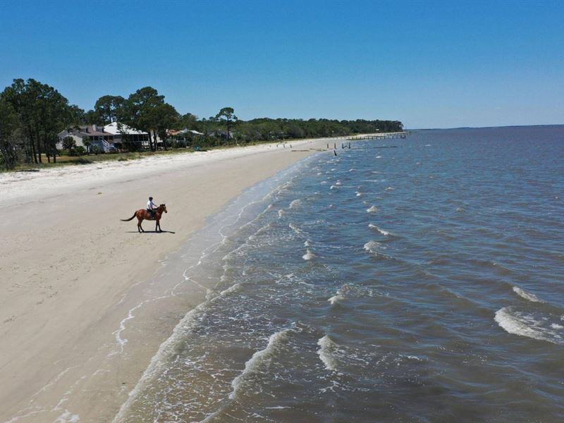 Camelot Farms Equestrian Estate : Saint Helena Island : Beaufort County : South Carolina