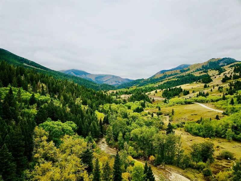 Rocky Mountain Front Outfitting Bus : Augusta : Lewis And Clark County : Montana