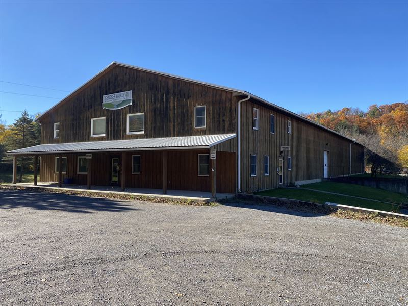 Multi-Use Flex Space and Office : Dansville : Steuben County : New York