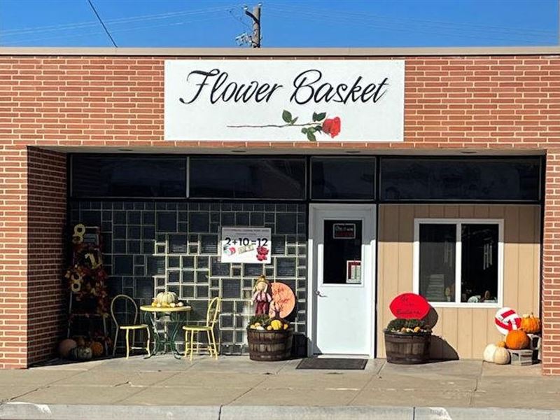 Flower Basket 818 Main St Creight : Creighton : Knox County : Nebraska