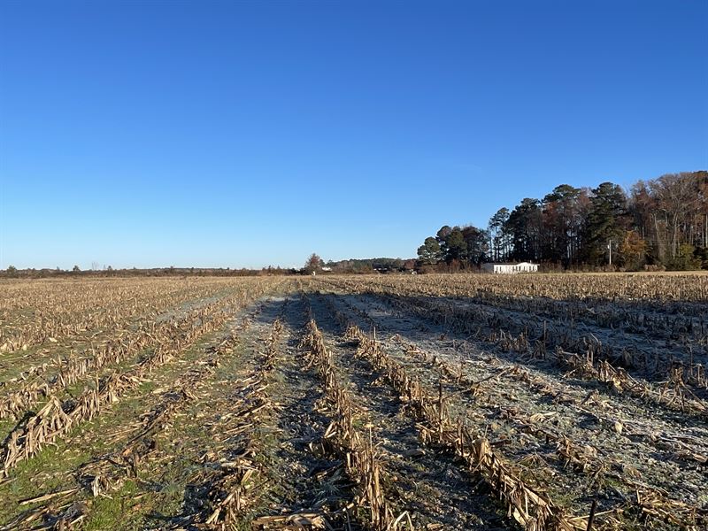 Developmental Property for Sale : Washington : Beaufort County : North Carolina
