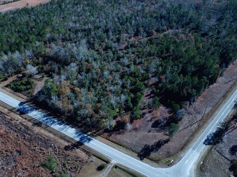Corner Lot in Pender County : Burgaw : Pender County : North Carolina